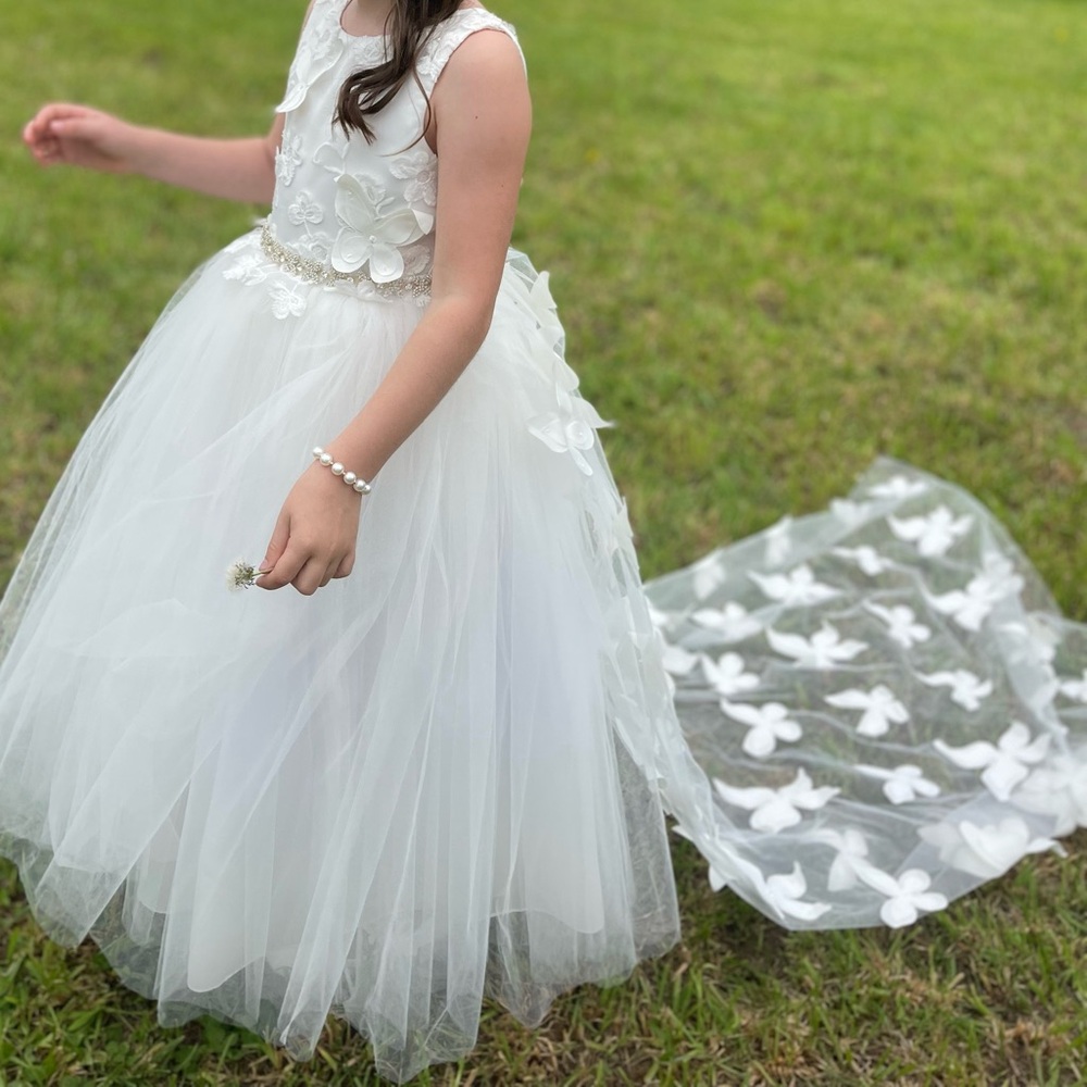 Rosebuds Flower Girl Dress with Detachable Butterfly Train, Size 6 - Picture 13 of 13